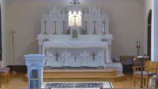 Saturday August 17 2024 Evening Catholic Mass for Sunday [upl. by Yesiad]