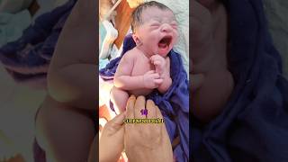 Life Starts with a Cry baby cutebaby newborn cute [upl. by Sivlek]