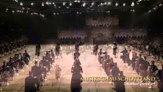 The flower of Scotland live  Rittal Arena Wetzlar [upl. by Giarg330]