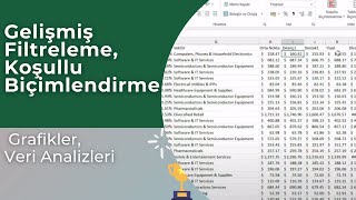 Excel Gelişmiş Filtre Oluşturma Koşullu Biçimlendirme [upl. by Slater]