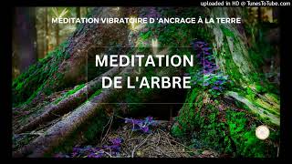 Méditation de larbre reconnexion à la Terre [upl. by Ahseinar]