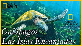 Galápagos Las Islas Encantadas EcuadorParte 1Documental NAT GEO HD [upl. by Gerda]