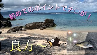 【沖縄県】名護市初めてのポイントでチ○が！！ [upl. by Ailssa]