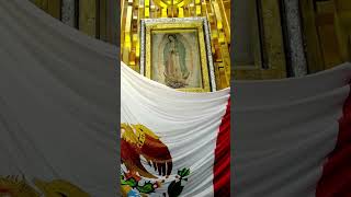 Himno a la Virgen de Guadalupe diciembre virgendeguadalupe virgen oracion milagro miracle [upl. by Lizabeth401]