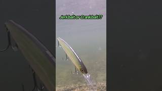 Deps Balisong Minnow Long Bill 130 Jerkbait Underwater Bait Footage [upl. by Ecinahc]