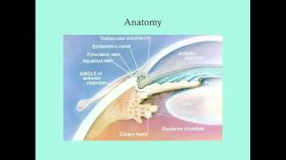 Uveitis  CRASH Medical Review Series [upl. by Epilihp]