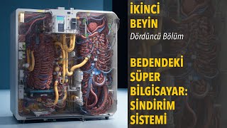 Bedendeki Süper Bilgisayar Sindirim Sistemi  İkinci Beyin Sesli Kitap  04 [upl. by Elin]