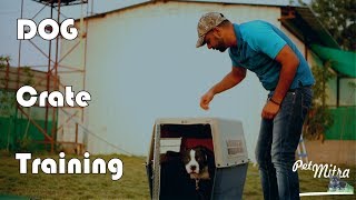 How to Crate Train a Dog [upl. by Adnomal]