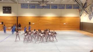 Silver Starlets Dance Team Senior Battle Squad of Washington DC [upl. by Nwahsor992]