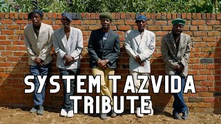 Anodyiwa Haautare  System Tazvida Tribube Video [upl. by Joyce]