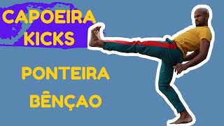 Capoeira Training For Beginners  How to Kick  Ponteira  Bênçao [upl. by Eesdnyl]