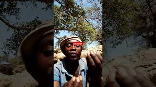 Kulukaluka Kwa malage ndokuiva kwake g mgimba in Tanzania 🇹🇿funny comedy [upl. by Ynalem740]