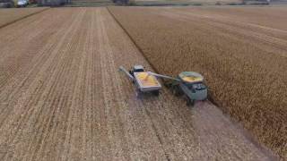 Loftness XLB 10 Grain Bagger at Jon Nelsons Farm Lake Preston SD raw drone footage 1102161 [upl. by Hsital]