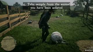 RANK UP FAST NATURALIST ROLE IN RDR ONLINE  BEST METHOD FROM RANK 1 TO 20 [upl. by Shanta]