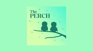 From Computer Screen to Big Screen  The Perch Episode 3 [upl. by Yetsirhc375]