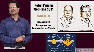 NOBEL PRIZE  2021 in Physiology or Medicine  Discovery of receptors for Temperature and Touch [upl. by Alister36]