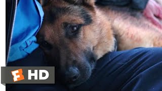 A Dogs Purpose 2017  I Need to Rest Scene 510  Movieclips [upl. by Kenison]