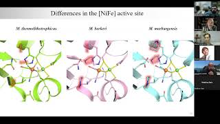 Hydrogenase Lectures 2022 Episode 8 Part 2 Marion Jesperson [upl. by Eerrahs395]