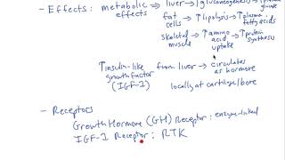 Schneid Guide to Growth Hormone and IGF1 [upl. by Isoj]