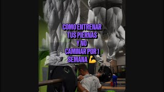 RUTINA de PIERNA quotLeg DAYquotCOMO entrenar las PIERNAS workoutleggings workout gymrat fitness [upl. by Copeland]