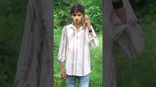 ￼ Deshi Dog 🐶  funny youtubeshorts viralvideo [upl. by Eiveneg354]