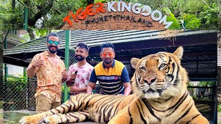 Tiger Kingdom Phuket  Meeting with Real Tigers  Thailand [upl. by Aneloc]