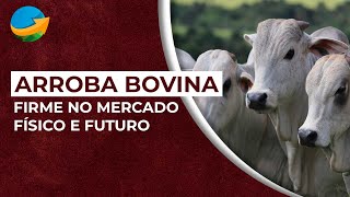 Arroba bovina firme no mercado físico e futuro tendência positiva até março [upl. by Yancy22]