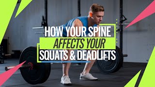 How Your Spine Affects Your Squats amp Deadlifts [upl. by Pratt865]