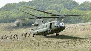 US Pilot Displays Insane Landing Skills During CH47 Chinook Landing [upl. by Nylirahs648]