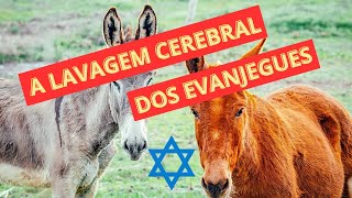 A LAVAGEM CEREBRAL DOS EVANJEGUES PRA ELES ISRAEL É A NOVA PÀTRIA [upl. by Rowney]