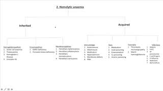 Algorithm 2  Haemolytic Anaemia [upl. by Chaille]