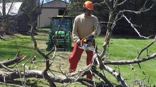 John Deere X748  Stihl MS 241 CM Chainsaw  Bucking Up The Apple Tree  20170423 [upl. by Kreitman218]