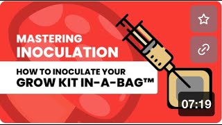 3 Complete Guide to Inoculating Your AllInOne Mushroom Grow Kit InABag™ [upl. by Bahr838]