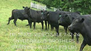 Tri State Video sale 71224 at 1pm [upl. by Enidan]