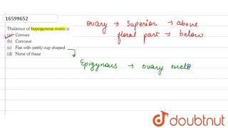 Thalamus of hypogynous ovary is [upl. by Mckeon635]