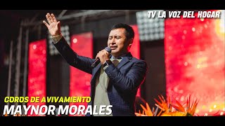 MAYNOR MORALES  COROS DE AVIVAMIENTO [upl. by Arabele]