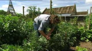 Hugh FearnleyWhittingstall talks about the Eat Seasonably Campaign [upl. by Sahpec]