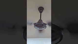 Modern Ceiling Fans Wobble Issue  Quite Natural 🥴 ceilingfan funny tiktok diy shorts [upl. by Lihka]