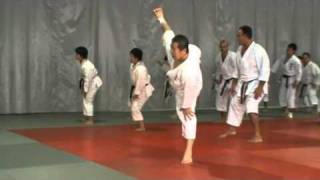 Sensei Kagawa Masao Curso Madrid2 [upl. by Auhsot]