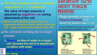 Hypertonic Hypotonic and Isotonic Solutions [upl. by Letsirc793]