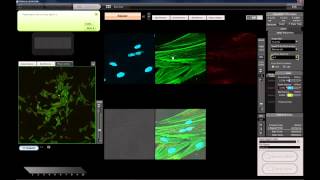 An introduction to confocal microscopy with the OLYMPUS FV10i [upl. by Hembree]