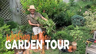 Shrub Makeover Working  Pruning on my Weigela [upl. by Charisse]