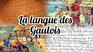 HistoireMystères de la Gaule et des Gaulois La langue gauloise [upl. by Enilreug44]