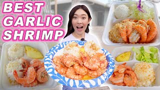 Finding THE BEST GARLIC SHRIMP in Hawaii Food Tour  Butter Garlic Hot amp Spicy Scampi amp more [upl. by Tobi635]