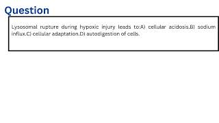 Lysosomal rupture during hypoxic injury leads to [upl. by Aylat]