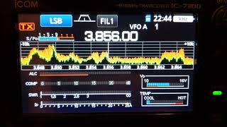 Icom IC7300 panadapter waterfall display settings for detail and weak signals [upl. by Suoiradal]