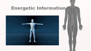 AcuGraph Systems of the Human Body [upl. by Lacim]