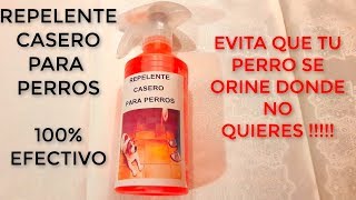 Como Evitar que tu perro se orine COMO HACER REPELENTE PARA PERROS CASERO Muy fácil y rápido [upl. by Alano]