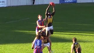 VFL Round 3 2015  Majak Daws big grab [upl. by Allsun163]