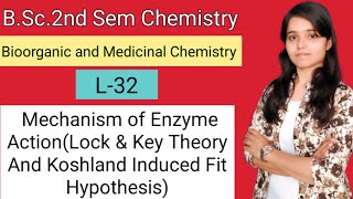 BSc2ndChemistry Mechanism of Enzyme ActionLock amp Key Theory And Koshland Induced Fit Hypothesis [upl. by Letsyrk]